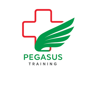Pegasus Training Centre
